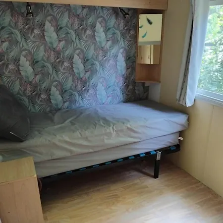 Campsite Tiny Mouse A 10 Minutes De En Voiture